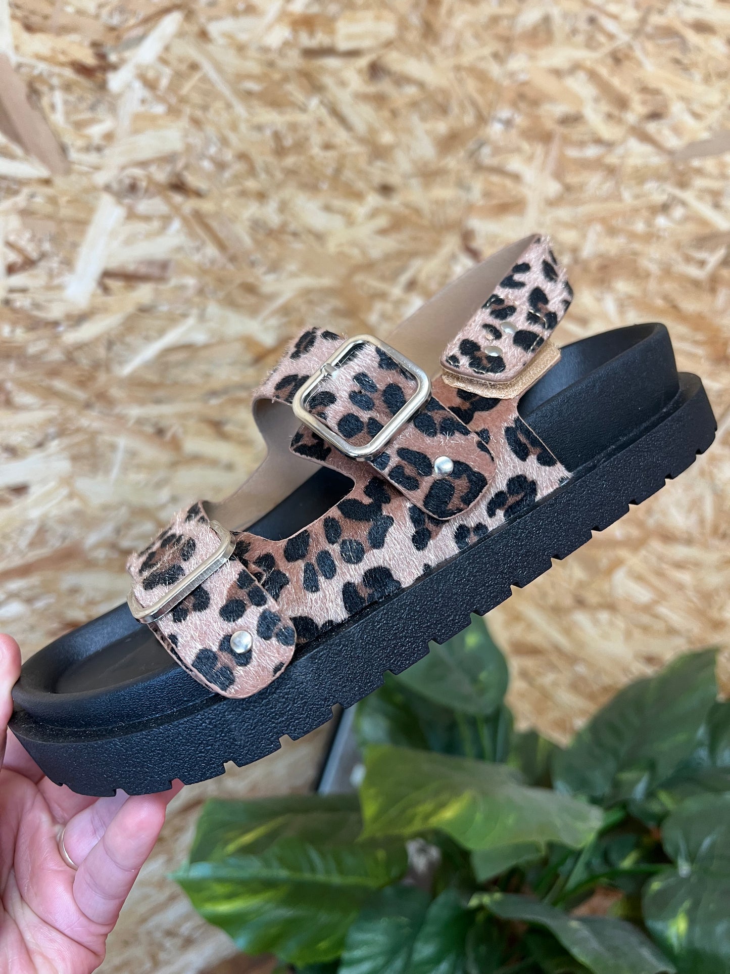 Leopard Buckle Sandals