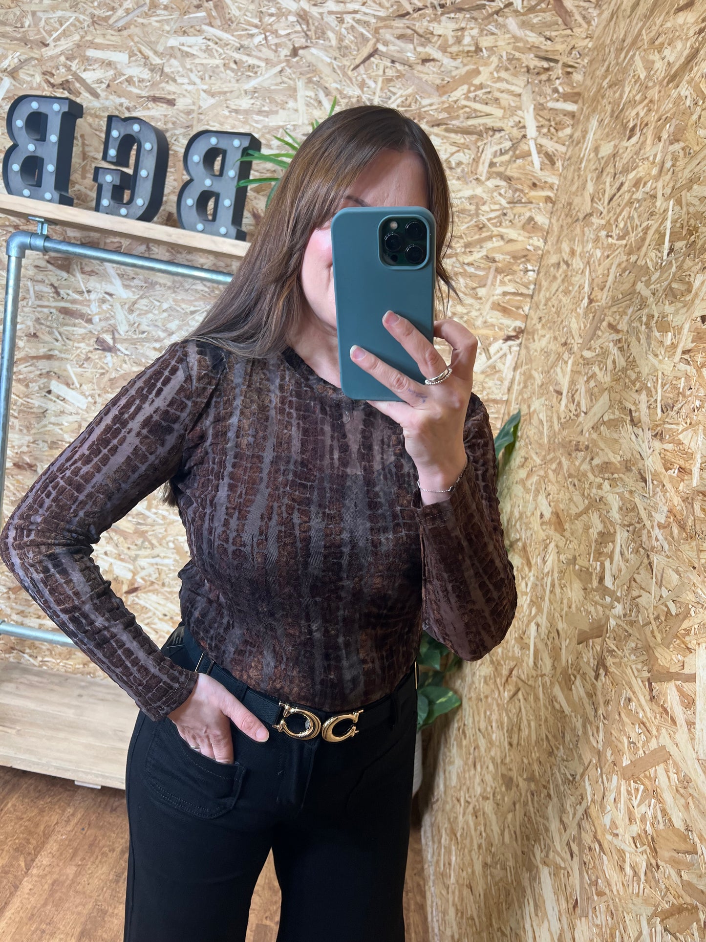 Devore Velvet Mesh Top