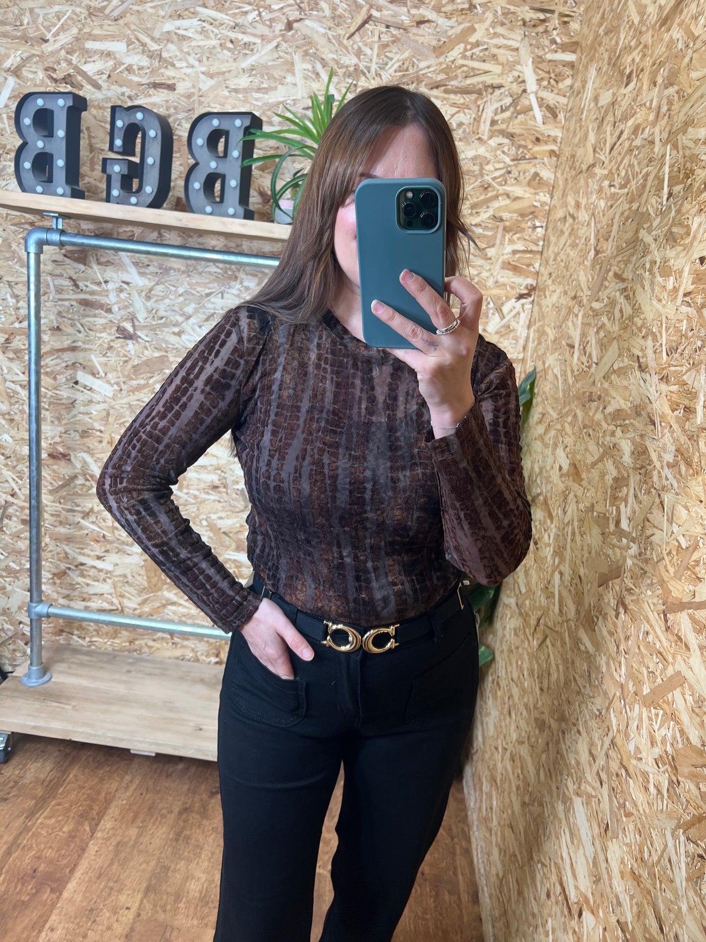 Devore Velvet Mesh Top