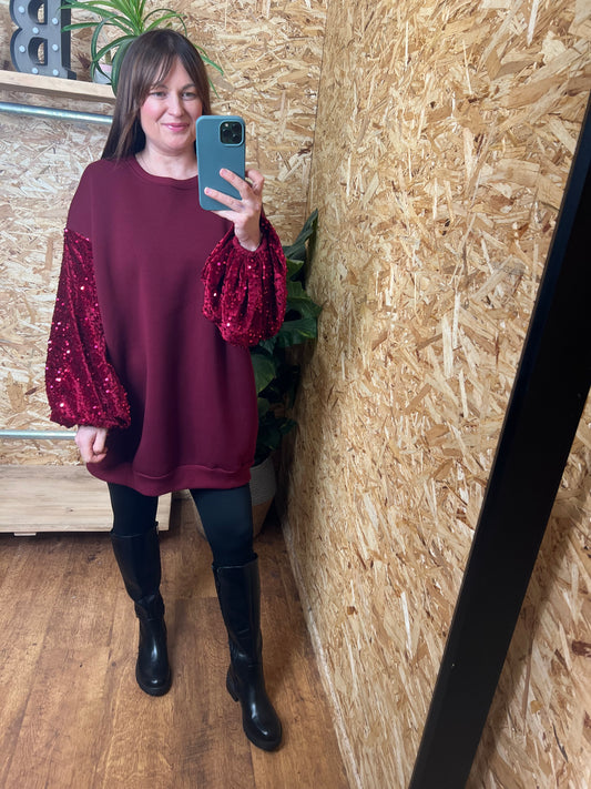Sequin Sleeve Sweater/Dress